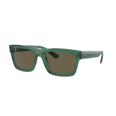 Ray-Ban WARREN RB4396 6681/3