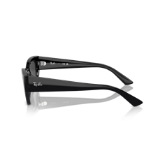 Ray-Ban RB4430 667787 2