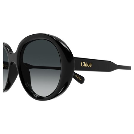 Chloé CH0221S 001