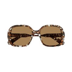 Chloé CH0222S 005 2