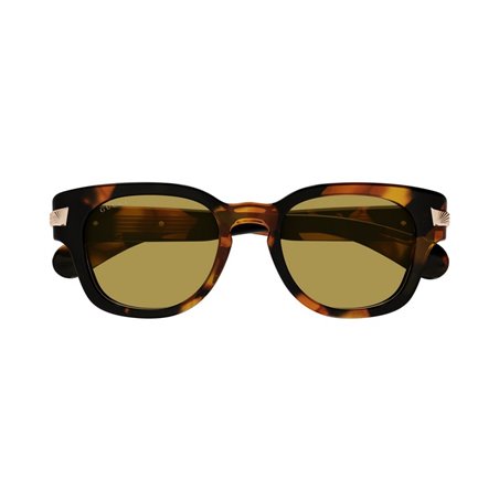 Gucci GG1518S 003