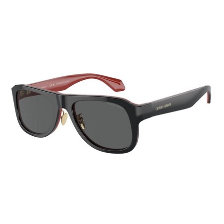 Giorgio Armani AR8209 6069B1