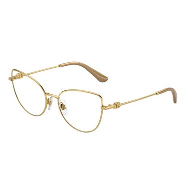 Dolce & Gabbana DG1347 02