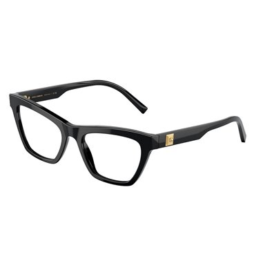 Dolce & Gabbana DG3359 501