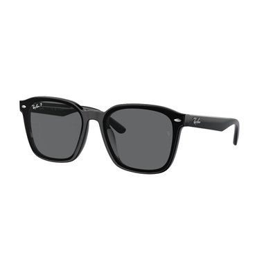 Ray-Ban RB4392D 601/81