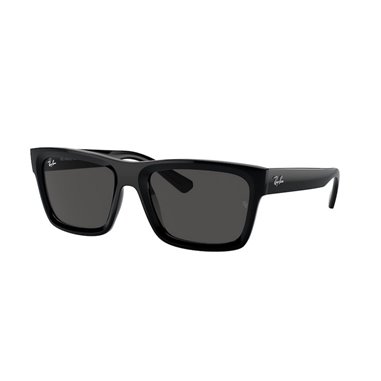 Ray-Ban WARREN RB4396 667787