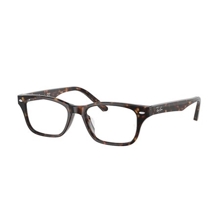 Ray-Ban RX5345D 2012