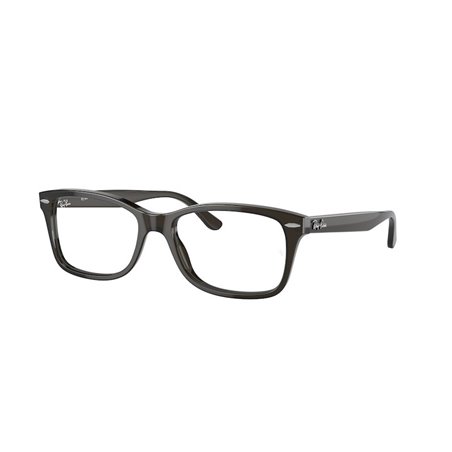 Ray-Ban RX5428 8299