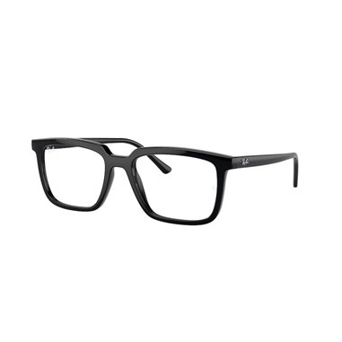 Ray-Ban ALAIN RX7239 2000