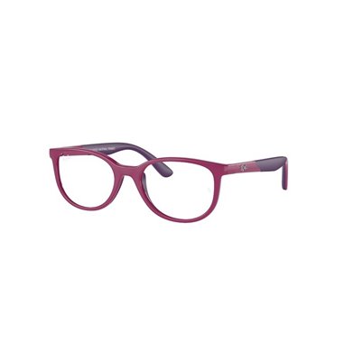 Ray-Ban Junior RY1622 3933