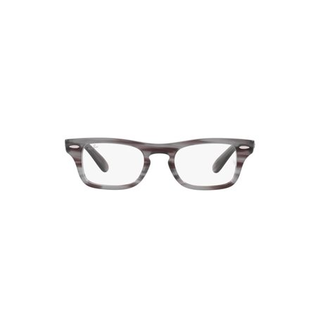 Ray-Ban Junior BURBANK RY9083V 3850