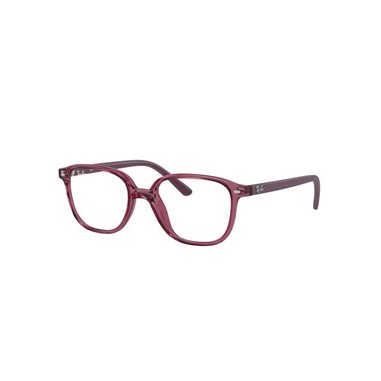 Ray-Ban Junior LEONARD RY9093V 3898