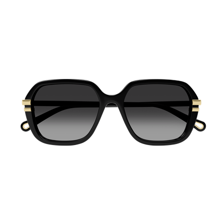 Chloé CH0204S 001
