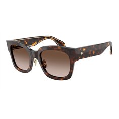 Giorgio Armani AR8223 502613