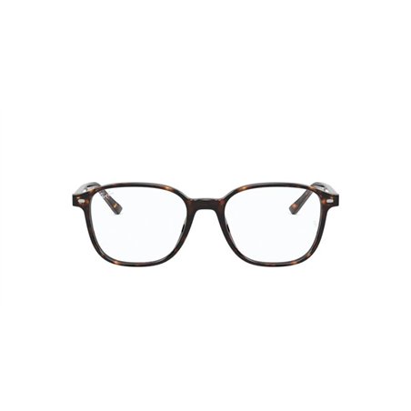 Ray-Ban LEONARD RX5393 2012