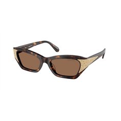 Swarovski SK6029 100273