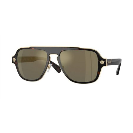 Versace VE2199 12524T