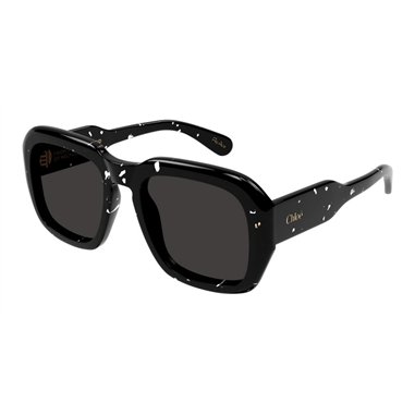 Chloé CH0310S 003