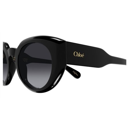 Chloé CH0311S 001