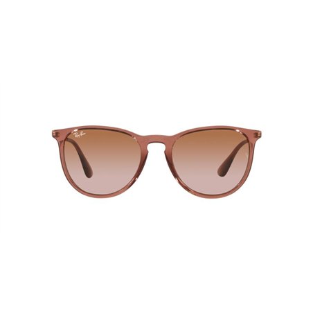 Ray-Ban ERIKA RB4171 659013
