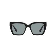 Swarovski SK6013 1010/1 2