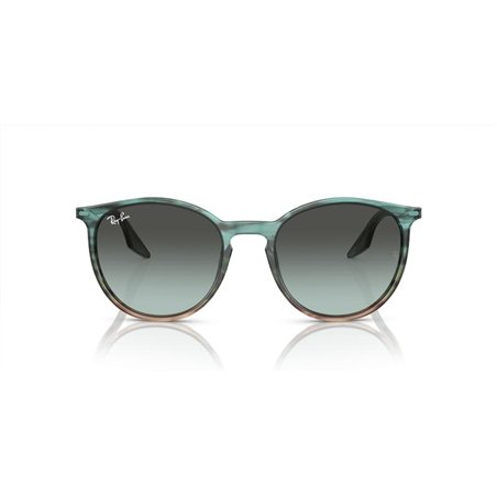 Ray-Ban RB2204 1394GK