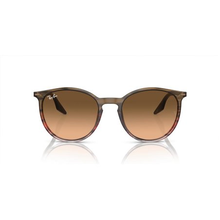 Ray-Ban RB2204 13953B