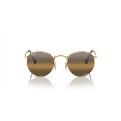 Ray-Ban ROUND METAL RB3447 001/G5 2