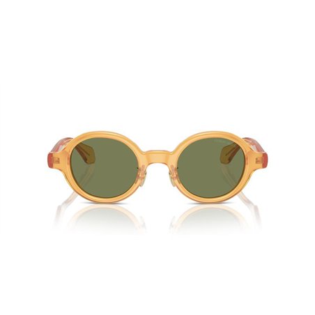 Giorgio Armani AR8205 60632A