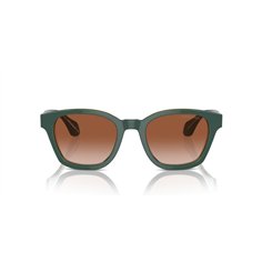 Giorgio Armani AR8207 608613 2