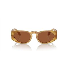 Giorgio Armani AR8216 597973 2