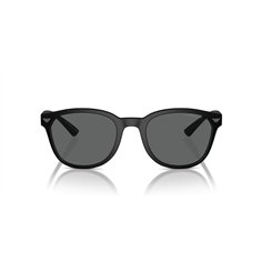 Emporio Armani EA4225U 500187 2