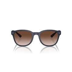 Emporio Armani EA4225U 508813 2