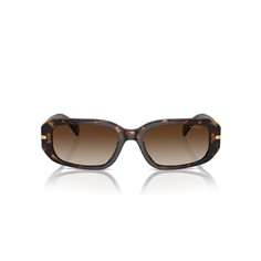 Ralph de Ralph Lauren RA5311U 500313 2