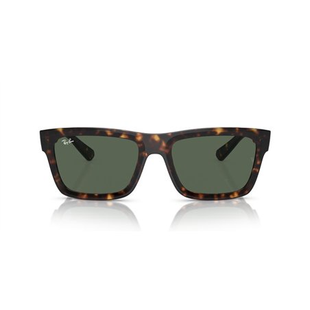 Ray-Ban WARREN RB4396 135971