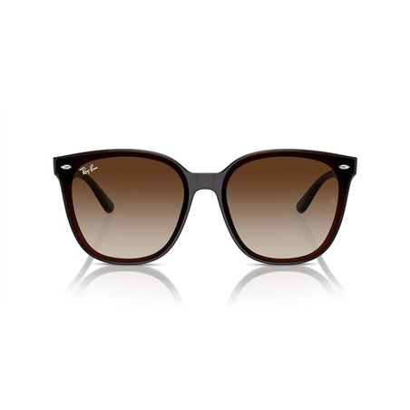 Ray-Ban RB4423D 714/13