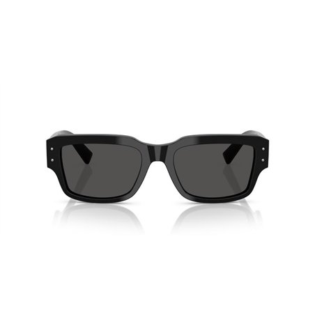 Dolce & Gabbana DG4483 501/87