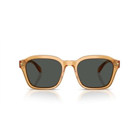 Emporio Armani EA4245U 624687