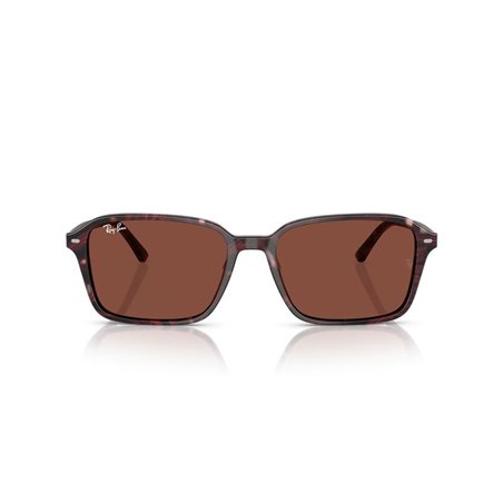 Ray-Ban RAIMOND RB2231 1416C5
