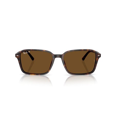 Ray-Ban RAIMOND RB2231 902/57
