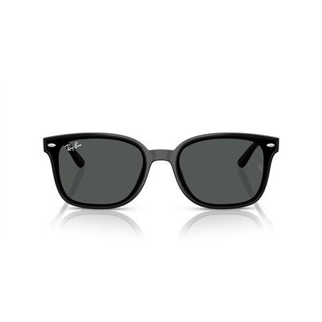 Ray-Ban RB4461D 601/87