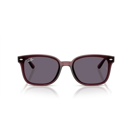 Ray-Ban RB4461D 659373