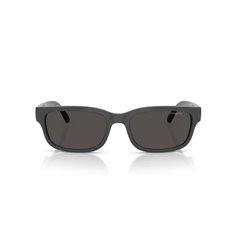 Arnette DEFYER AN4363 284187 2