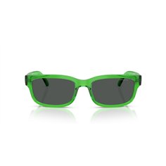 Arnette DEFYER AN4363 301487 2