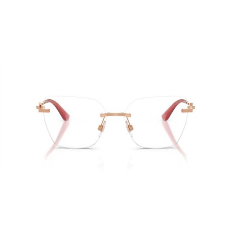 Dolce & Gabbana DG1363 1298