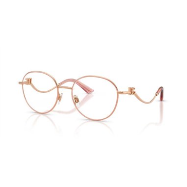 Dolce & Gabbana DG1365 1369
