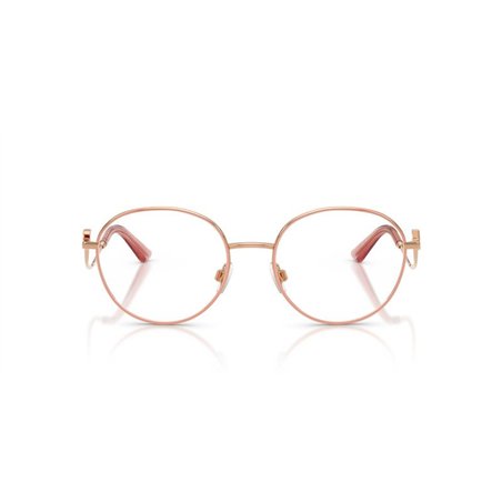 Dolce & Gabbana DG1365 1369