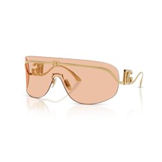 Dolce & Gabbana DG2320 02/73