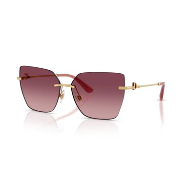 Dolce & Gabbana DG2321 02/8D