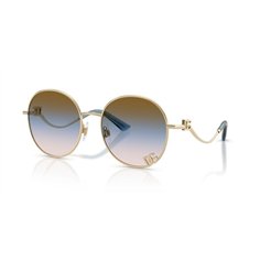 Dolce & Gabbana DG2324 488/U6